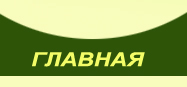 главная